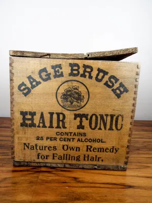 Antique c 1907 Sage Brush Hair Tonic Wood Box & 12 Amethyst Bottles