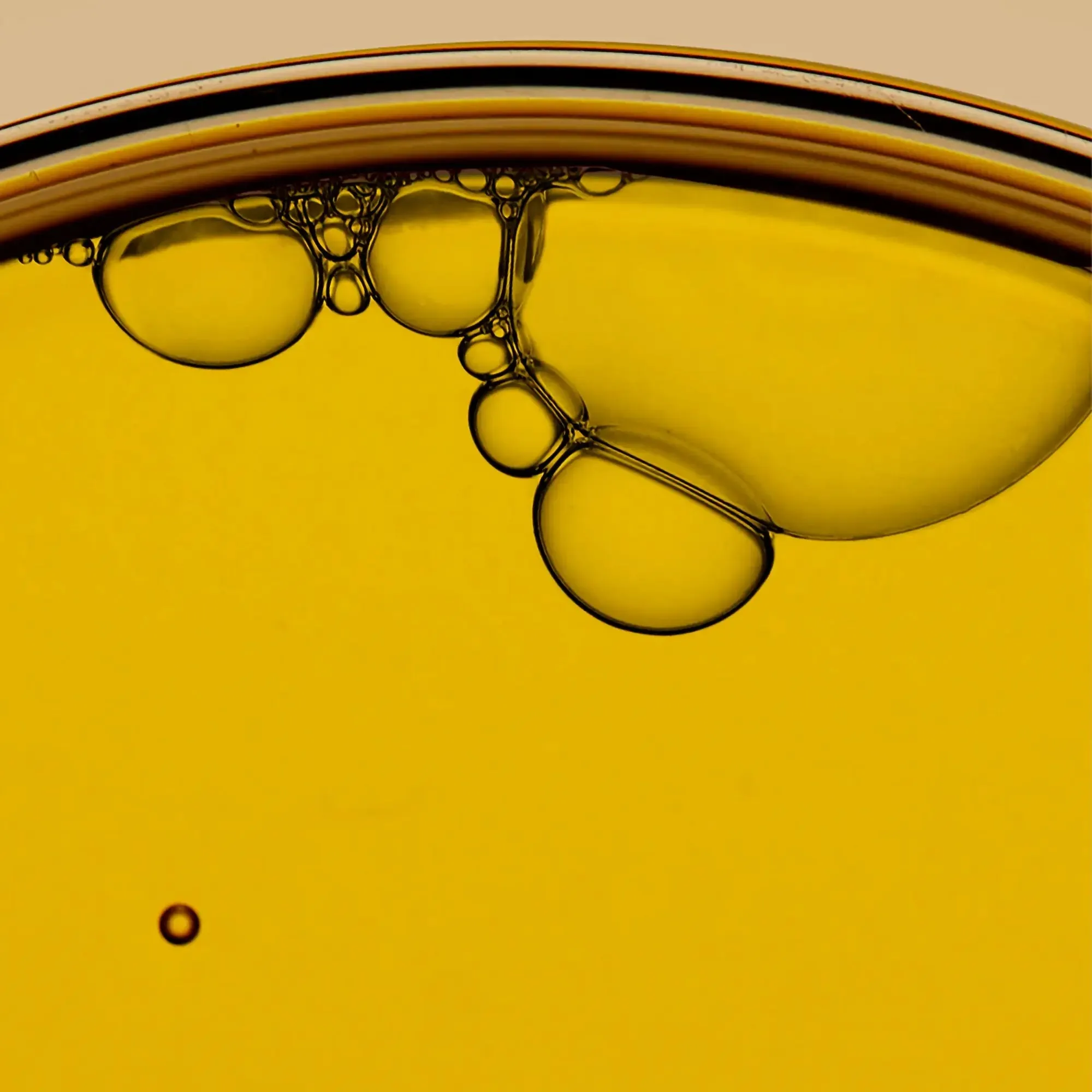 Biome Resetting Moringa Cleansing Oil