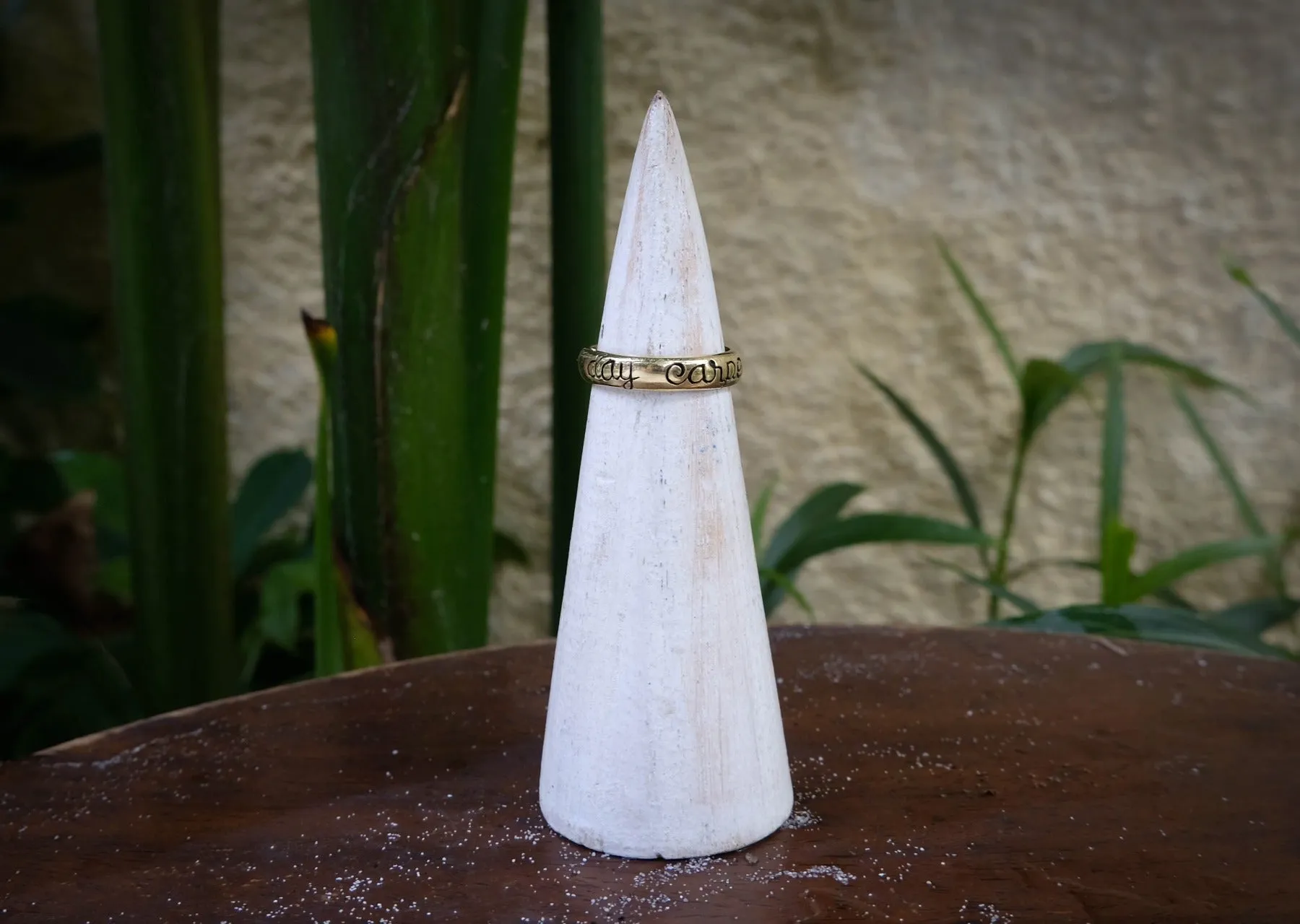 Carpe Diem Small Brass Ring