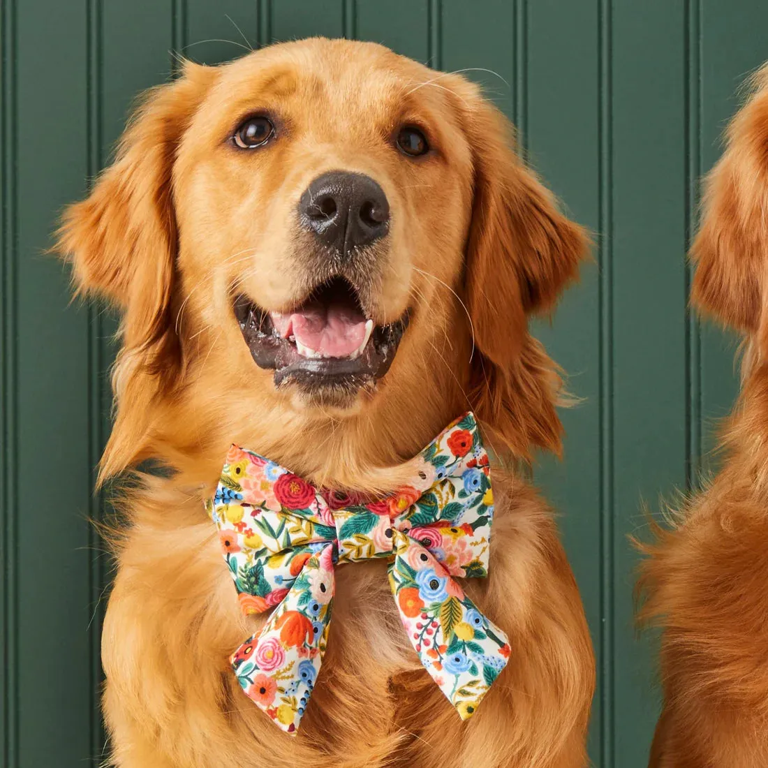 Large Rifle Paper Co. x TFD Lady Dog Bow - Garden Party