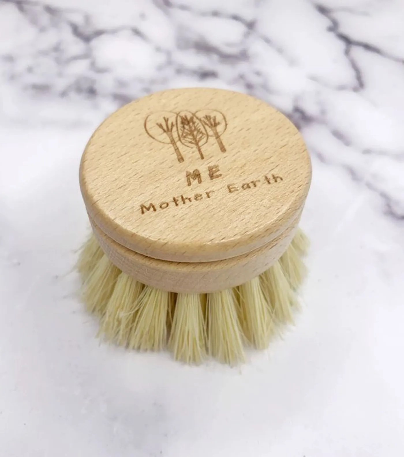 Long Handle Sisal Kitchen Brush- Refill Head Only
