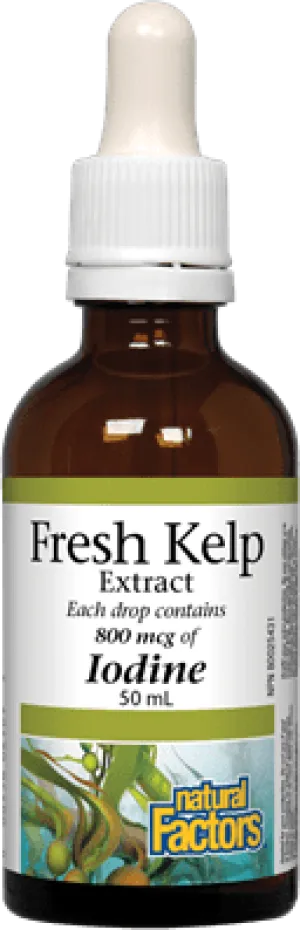 Natural Factors Fresh Kelp Extract 800 mcg (50 mL)